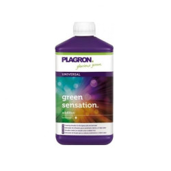 Green Sensation - Plagron