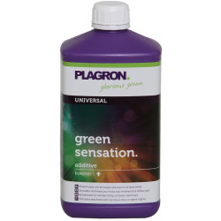 Green Sensation - Plagron