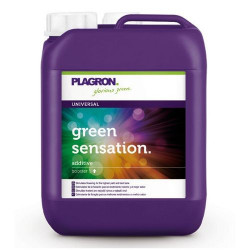 Green Sensation - Plagron