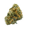 Cheese CBD - NxS