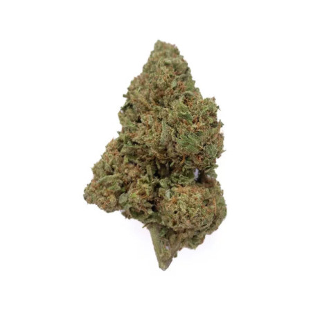 Lemon Haze CBD - NxS