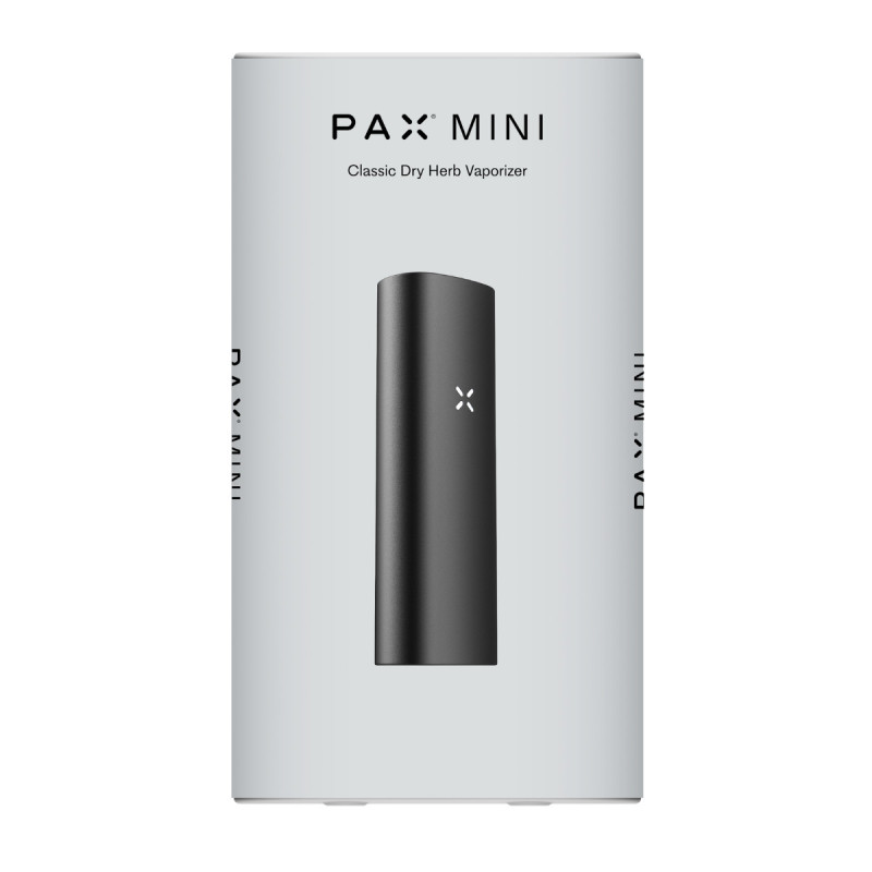 PAX Mini 2