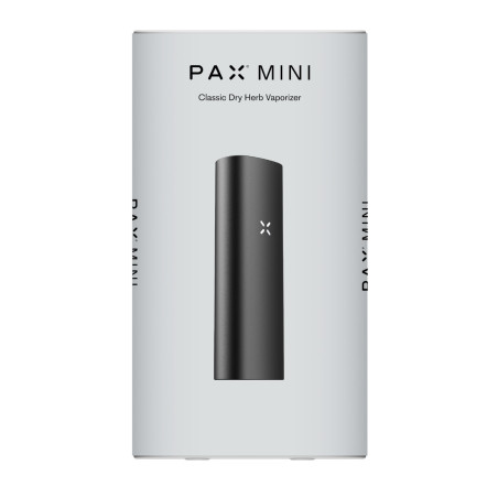 PAX Mini 2