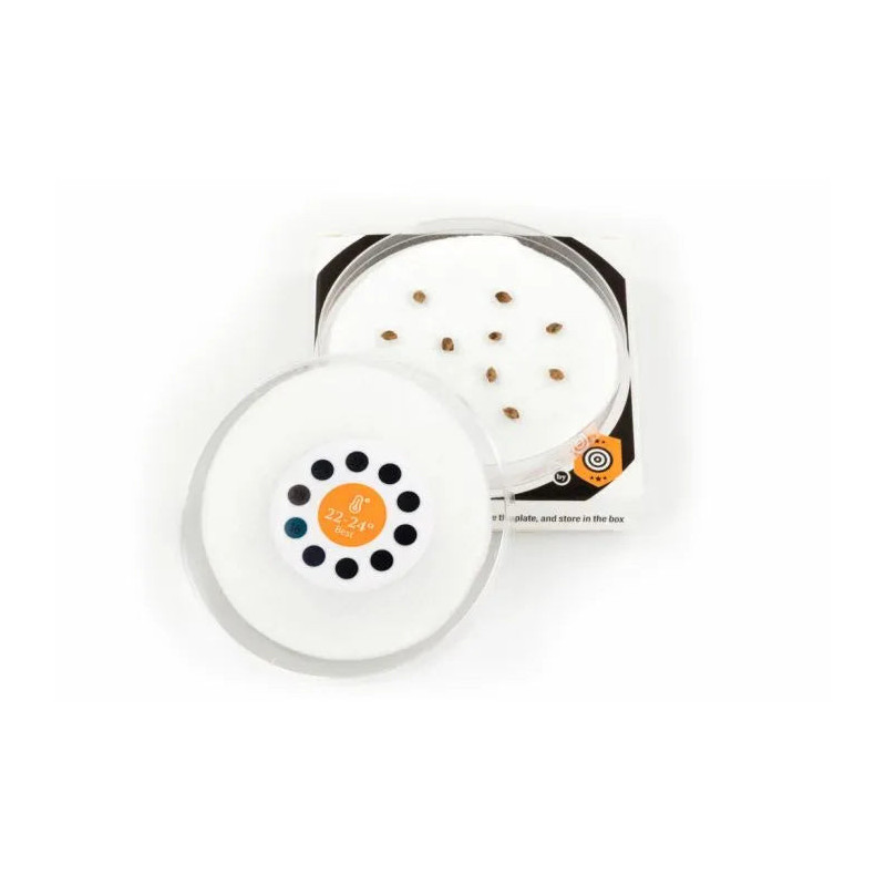 Sproutly – Germinatore intelligente - NxS GrowShop
