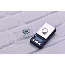 Mini BILANCIA DI PRECISIONE - Champ High