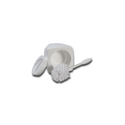 Safe Toilet Brush - Contenitore Segreto