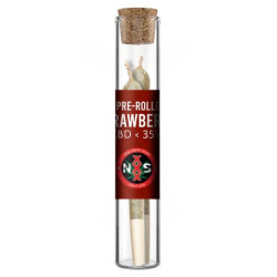 2 CBD Prerolled Joint - NxS