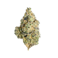 Vanilla Kush CBD Premium - NxS
