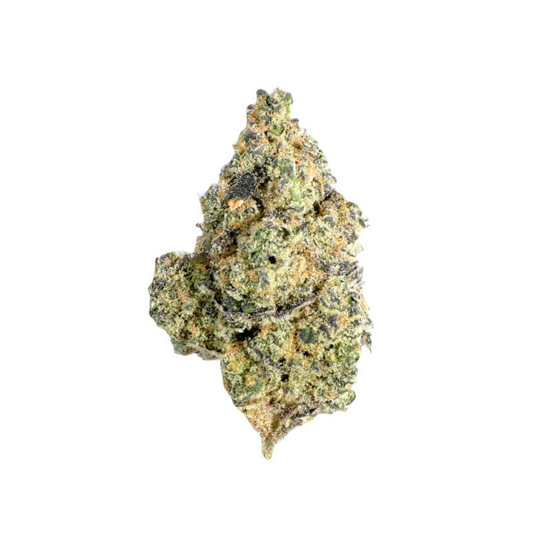 Vanilla Kush CBD Premium - NxS