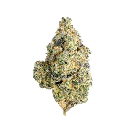 Vanilla Kush CBD Premium - NxS