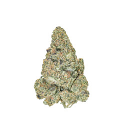 Tangerine CBD Premium - NxS