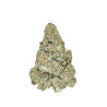 Tangerine CBD Premium - NxS