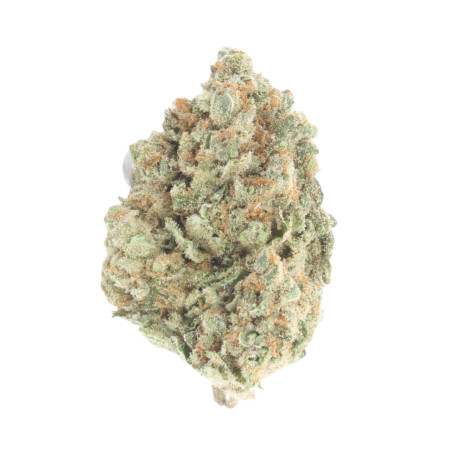 Girl Scout Cookies CBD - NxS