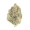 Girl Scout Cookies CBD - NxS