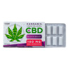 Gomme da masticare 100mg CBD al Ribes Nero - Euphoria