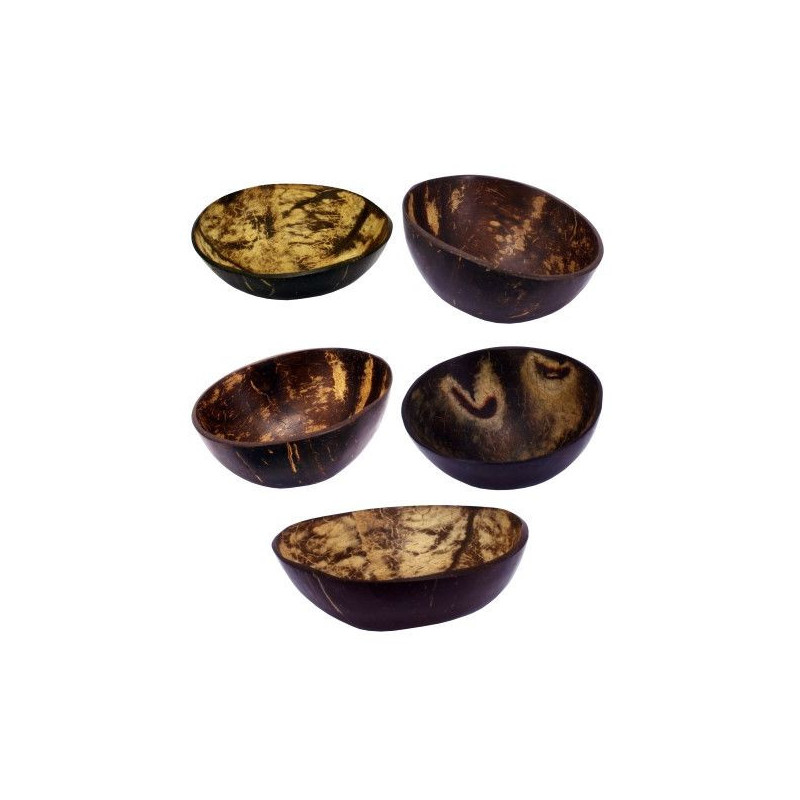 Cocco in legno