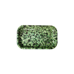 Vassoio mini - Cannabis