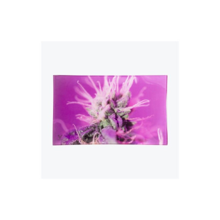 Vassoio in Vetro - Purple Haze