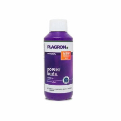 Power Puds - Plagron