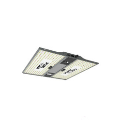 Pure Led Q240 v2.0