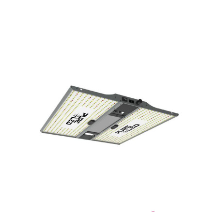 Pure Led Q240 v2.0