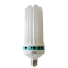 Kit CFL 300w AGRO