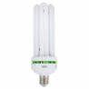 CFL 125W agro