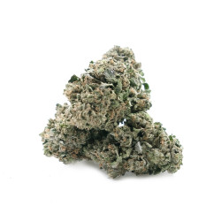 Skunk CBD - NxS