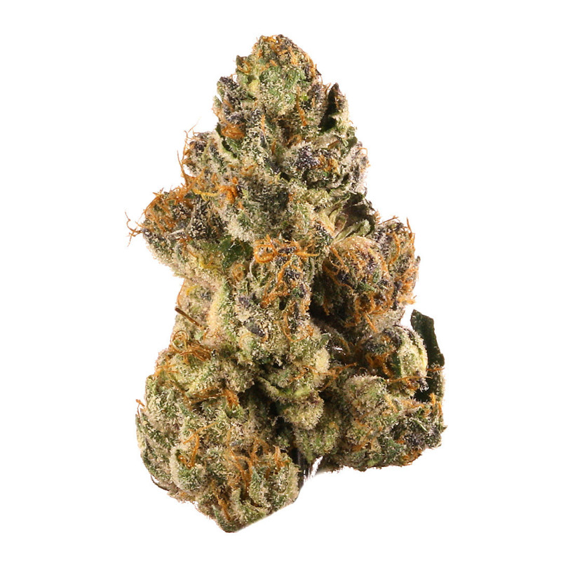 Gelato 33 CBD - NxS