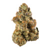 Gelato 33 CBD - NxS