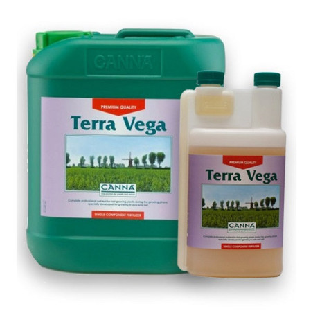 Terra Vega - Canna