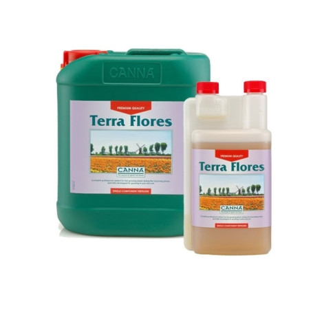 Terra Flores - Canna