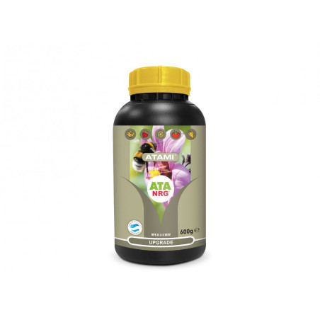 ATA NRG Upgrade 600gr - Atami