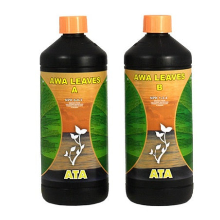Awa Leaves A+B - Atami