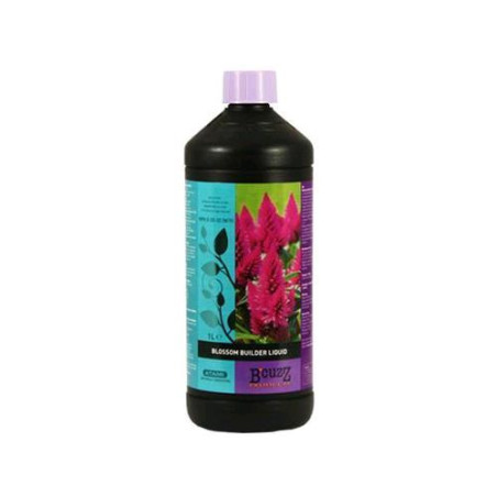 Blossom Builder - Atami