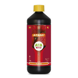 Flavor - Atami