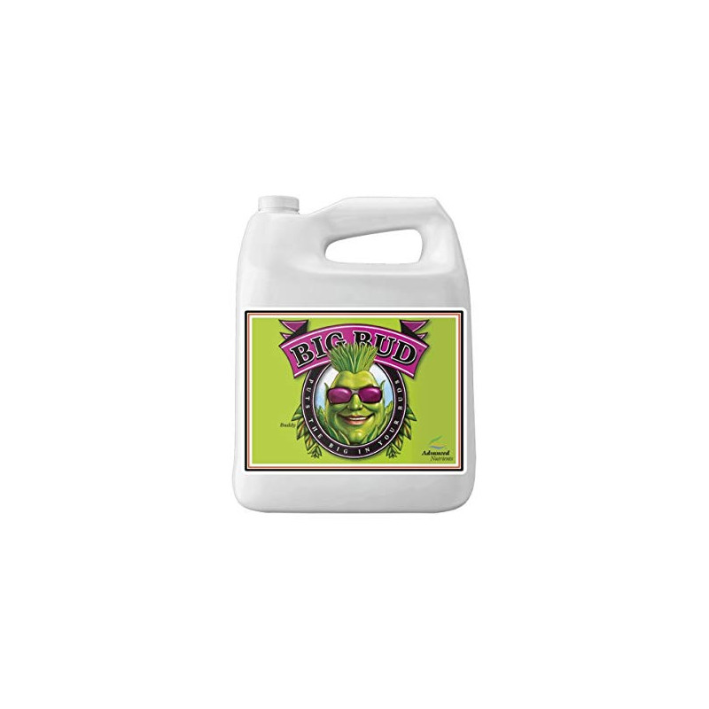 Big Bud - Advanced Nutrients