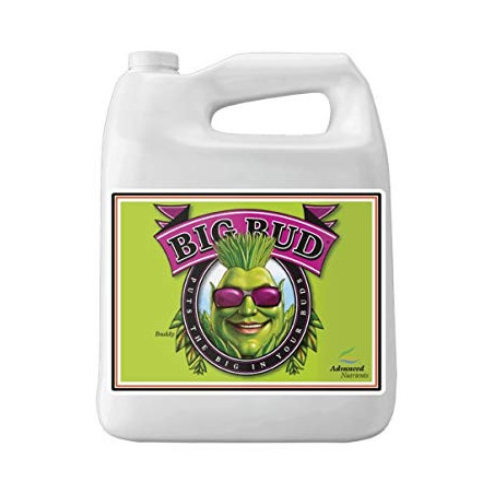 Big Bud - Advanced Nutrients