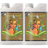 Sensi Grow Coco - Advanced Nutrients