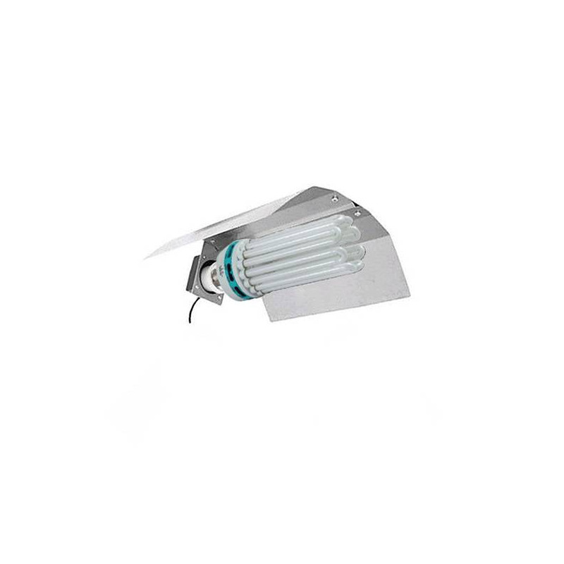Kit CFL 300w 6400K fioritura