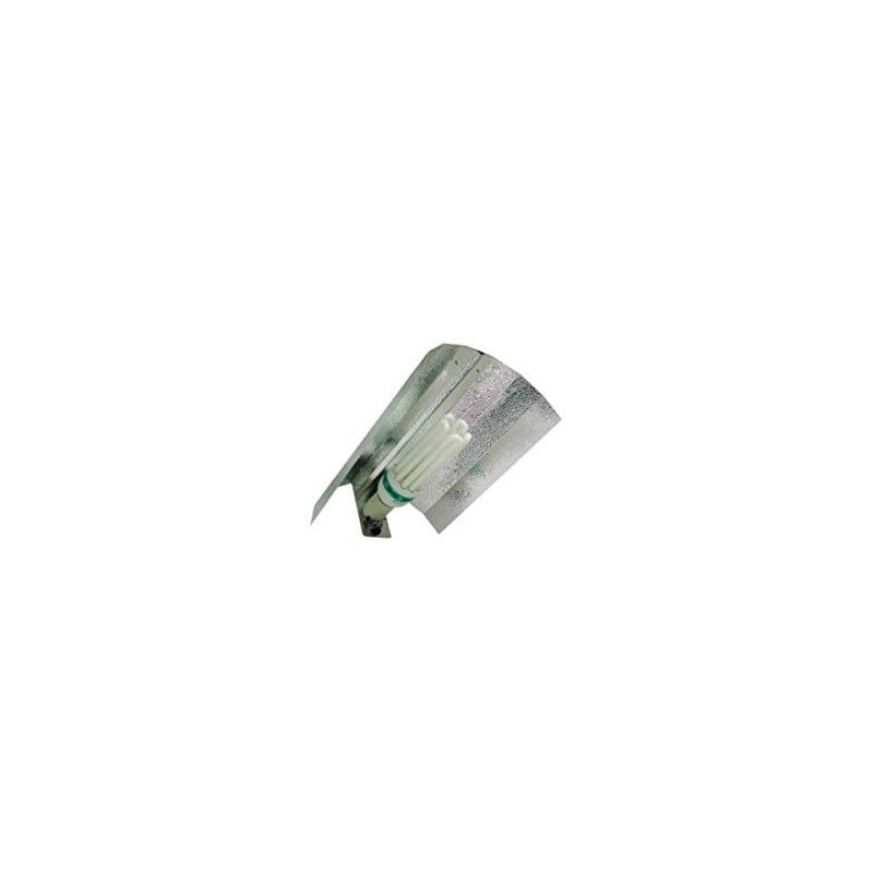 Kit CFL 125w AGRO