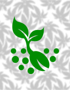 Kit Germinazione Semi