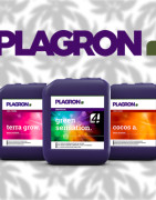 Plagron