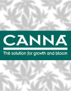 Canna