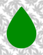 Terpeni
