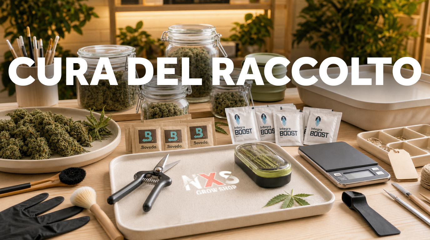 Cura del Raccolto